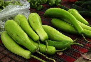 兔吃葫芦瓜有什么好处,营养与健康的双重益处