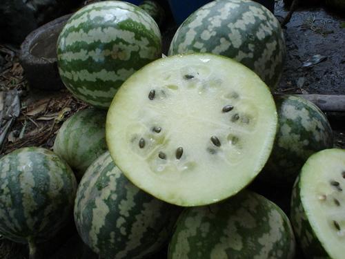 云南长柄瓜怎么吃,云南长柄瓜的多样食法探索