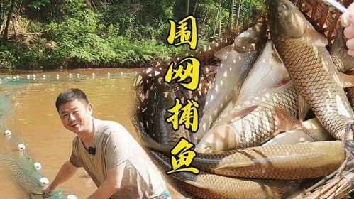 哥哥连夜吃瓜,揭秘娱乐圈最新热点