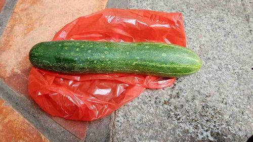 睡前吃生瓜,揭秘睡前吃生瓜的潜在风险