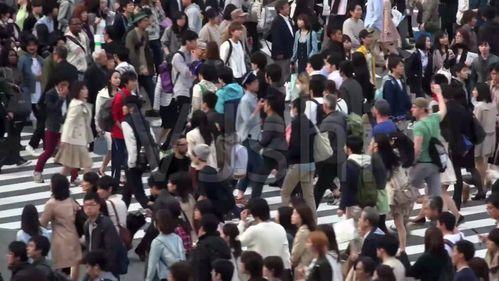 吃瓜老人跳河,揭开背后惊人真相