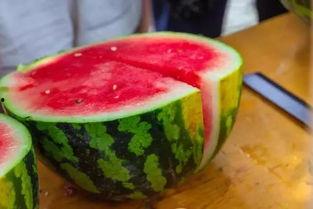 名古绣艺吃瓜,匠心独运，吃瓜文化新演绎