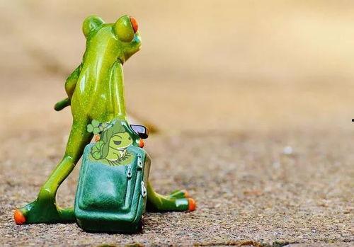 妙蛙手机壳吃瓜,吃瓜神器，潮流与实用并存