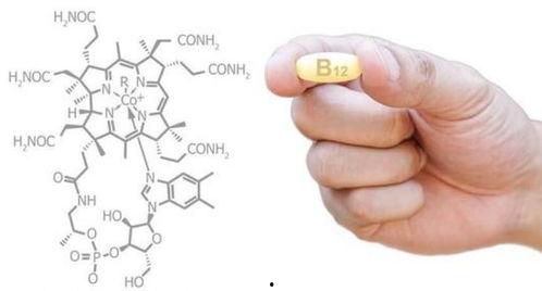 吃二甲双瓜会缺b12么,二甲双瓜与维生素B12缺乏的关系