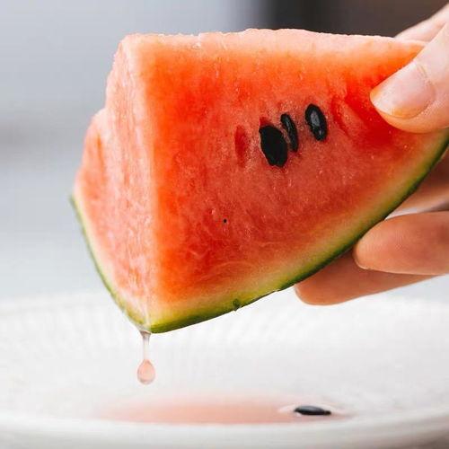 吃瓜集合图集,吃瓜群众的欢乐时光