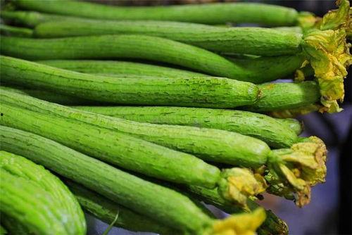 嫩面瓜怎么吃,探索美味新境界