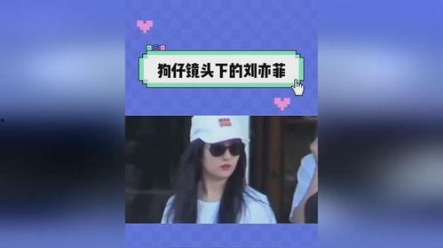 吃瓜日记直播,揭秘娱乐圈幕后故事