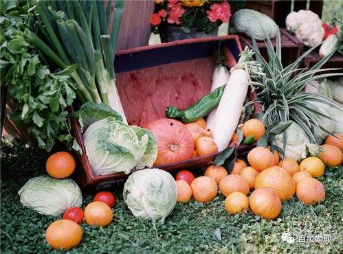 来宾吃瓜,揭秘娱乐圈幕后真相