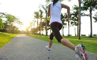 夏季跑步吃瓜视频,清凉一“瓜”——跑步后吃瓜的消暑秘籍