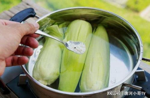 老瓜能煮吃嘛,老瓜的食用价值与烹饪方法揭秘