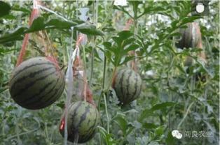 五一黑料吃瓜,娱乐圈吃瓜大事件盘点