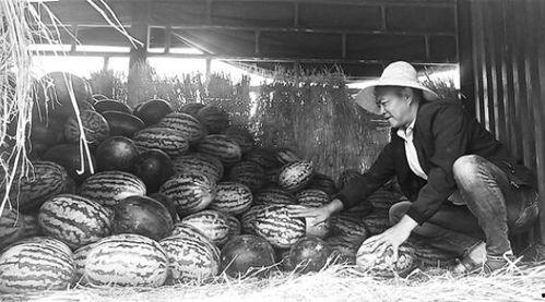 s23峡谷吃瓜群众,吃瓜群众视角下的电竞盛宴