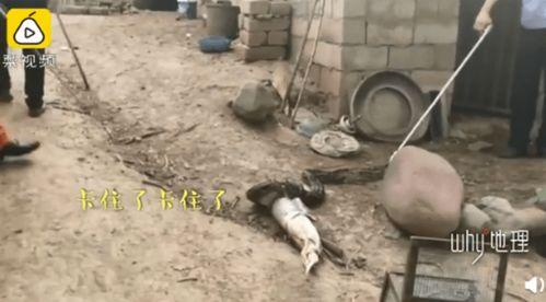 抓大鹅吃瓜,一场别开生面的乡村盛宴