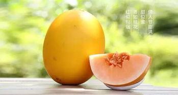 吃蜜瓜吃胖吗,吃蜜瓜真的会吃胖吗？