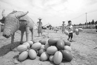 武陟本地吃瓜事件