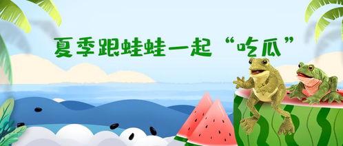 吃瓜群众蛙,揭秘网络红人的崛起之路