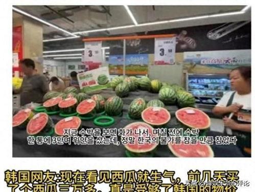 超市吃瓜,清凉一夏，尽享瓜果飘香