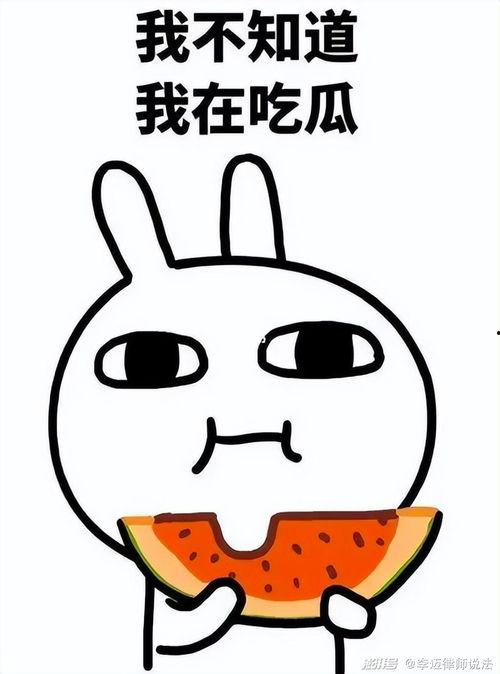 吃瓜张硕,揭秘娱乐圈背后的那些事儿