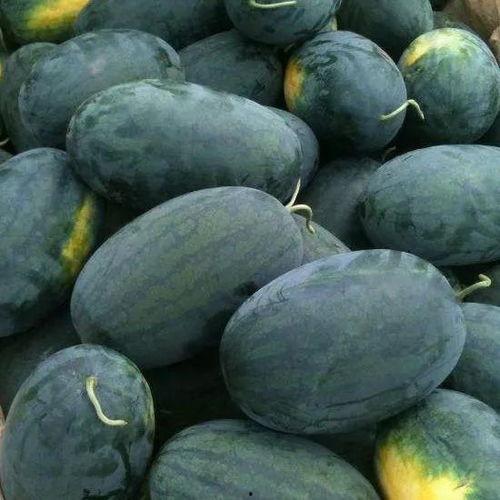 蜜宝王瓜怎么吃,美味多汁，轻松享用的健康佳品