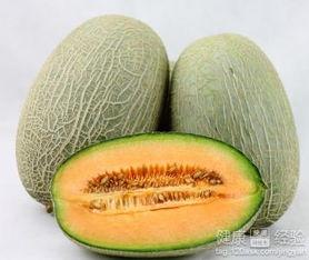 吃哈密瓜搞笑,一场欢乐的味蕾冒险