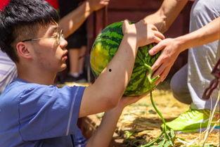 出去游玩吃瓜拍照,瓜果飘香，定格美好瞬间