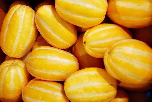 宋十八吃瓜系统,揭秘古代宫廷八卦风云