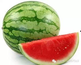 防暑吃瓜图,防暑吃瓜图解攻略