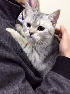 高清素材吃瓜视频大全,吃瓜视频大全，一网打尽热门瞬间