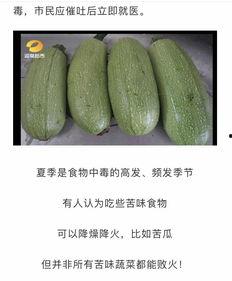 梦见摘白瓜送人吃,摘白瓜赠友共享的温馨瞬间