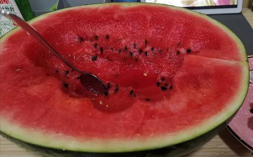 吃瓜太恶心,揭秘吃瓜恶心的真相与反思