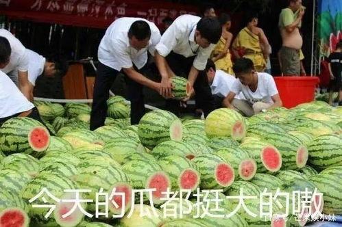 大溪吃瓜日记,揭秘娱乐圈幕后故事