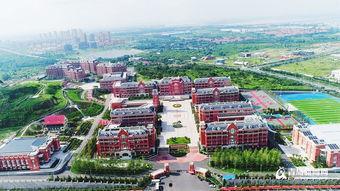 吃瓜青岛九中,揭秘校园里的“吃瓜”风云