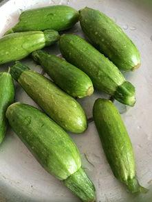 角瓜能怎么吃,多样烹饪方式，尽享美味人生