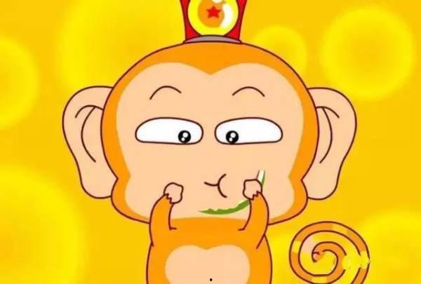 猴王吃瓜公开课