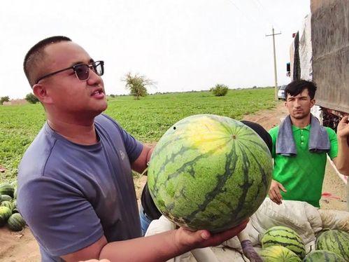 假装吃瓜吓人图片,这瓜太带劲了！