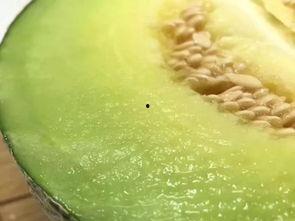 佛山销售吃瓜,夏日消暑新宠