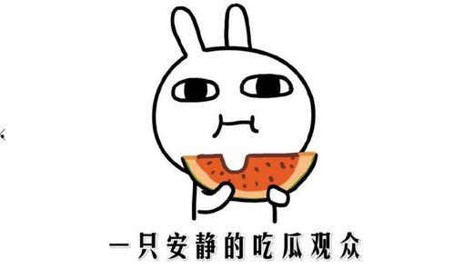 吃瓜的写作手法,揭秘娱乐圈那些不为人知的幕后故事