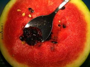 校园奇葩吃瓜,那些让人捧腹的奇葩吃瓜事件