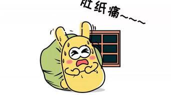 吃瓜群众看球,吃瓜群众视角下的激情足球盛宴