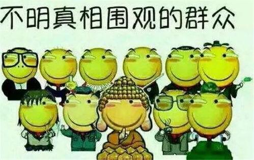 各国吃瓜群众的反应,各国网友对热点事件的反应大揭秘