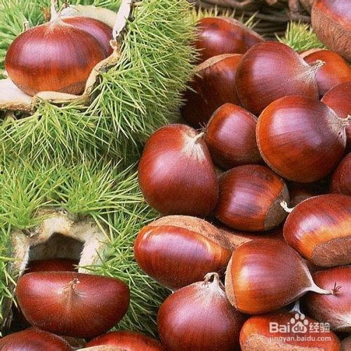 吃栗子瓜的好处,营养美味，健康生活新选择