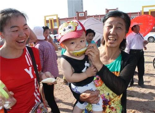 巴彦淖尔吃瓜,瓜果飘香，尽享夏日田园风光