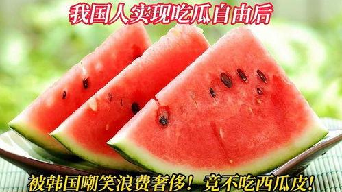 外国吃瓜自由吗,各国舆论场中的言论边界与自由