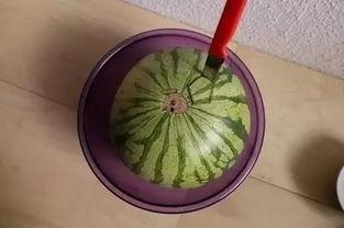 歪脖瓜怎么吃,解锁美味新体验